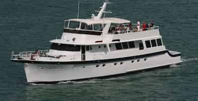 Custom Boat for Parties in Fort Lauderdale