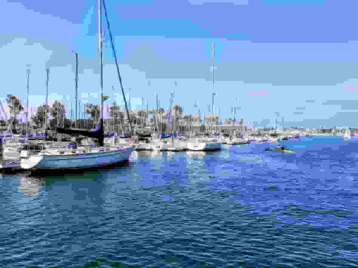 Boats in Marina del Rey
