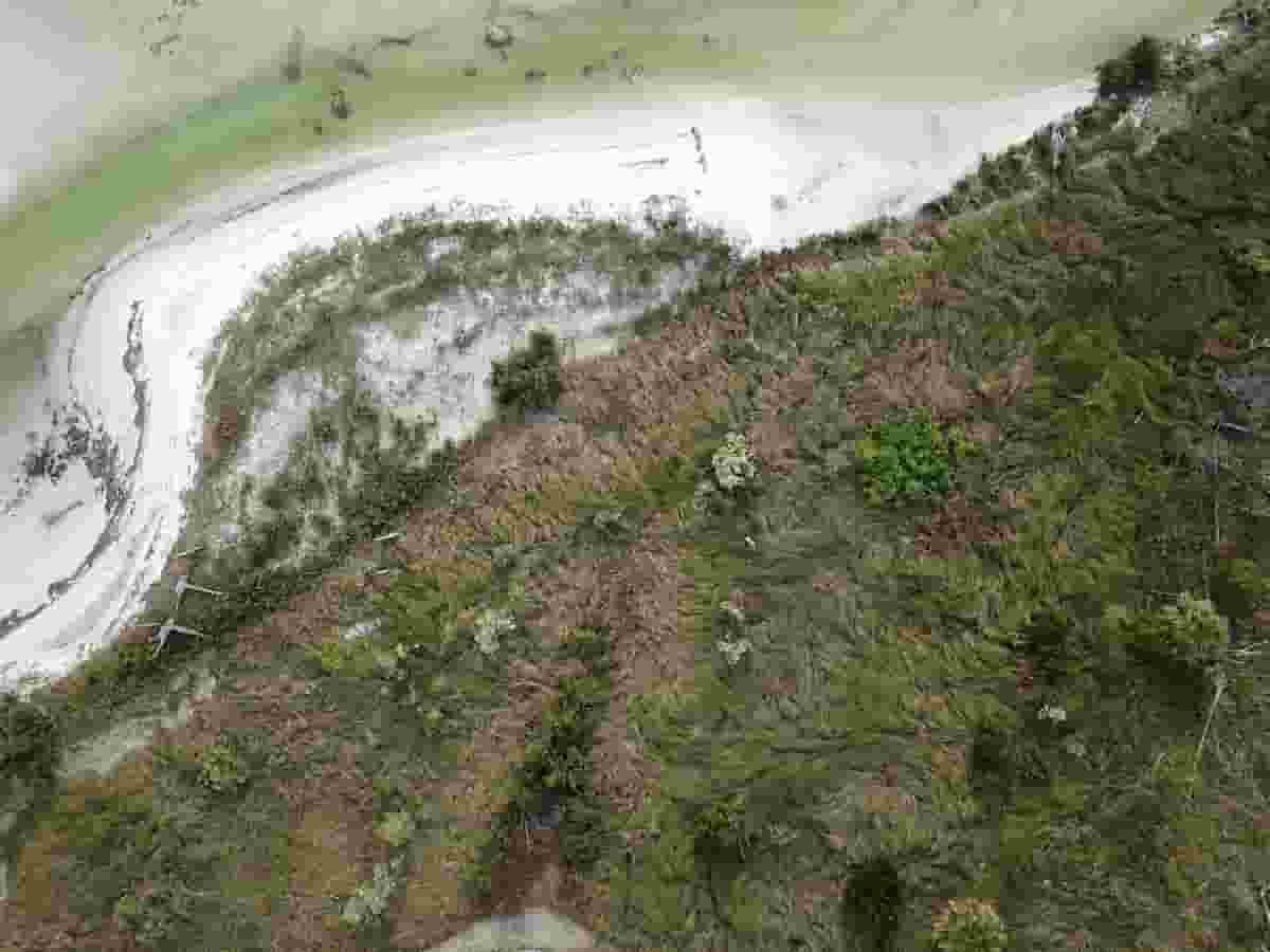 Tarpon Springs Boat Rentals from 200