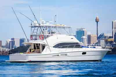 Yacht Sydney
